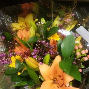 Meet your Posher, Erica